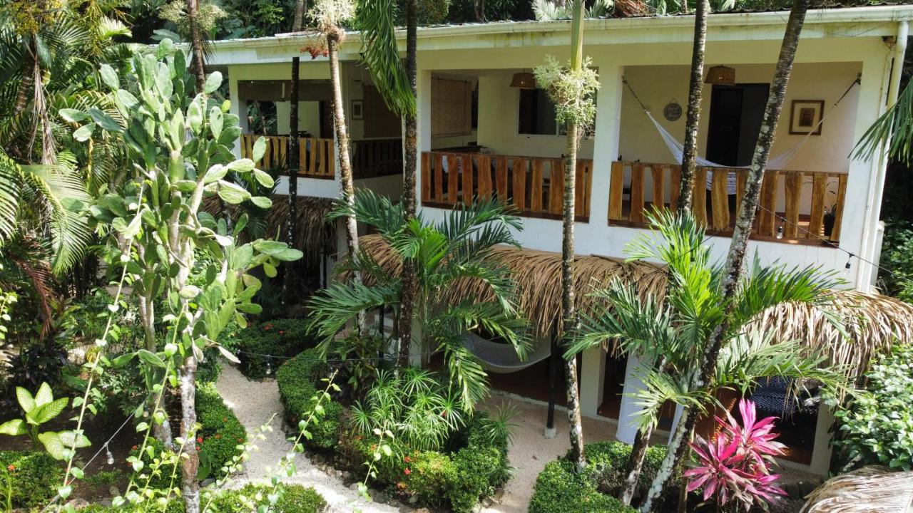 Colibri Apartments - 4 Min Walk To The Beach! Playa Santa Teresa  Bagian luar foto