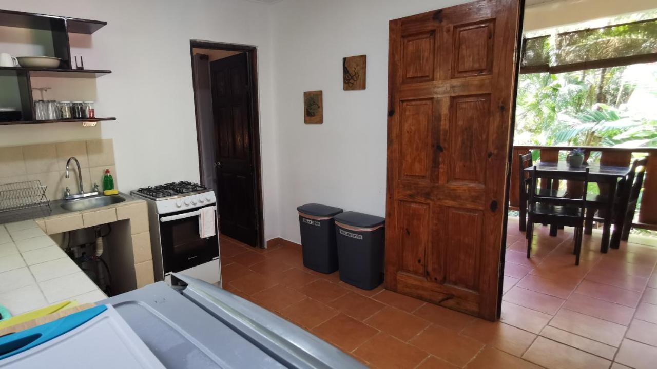 Colibri Apartments - 4 Min Walk To The Beach! Playa Santa Teresa  Bagian luar foto