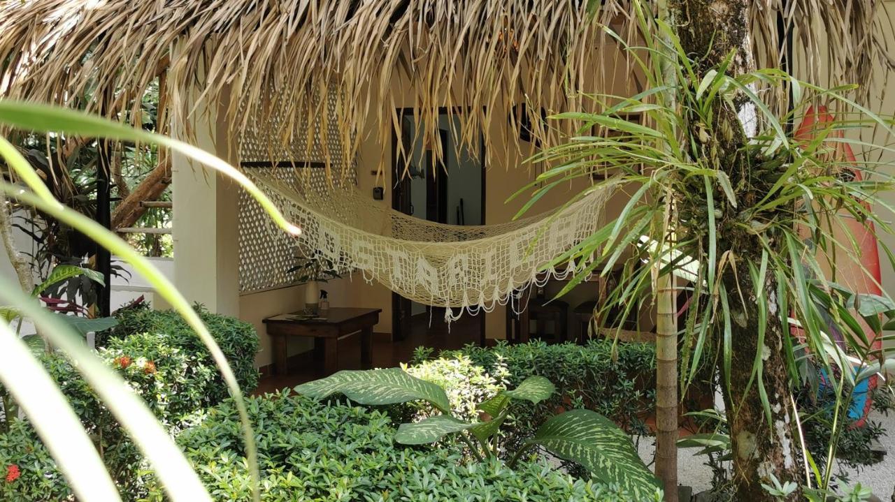 Colibri Apartments - 4 Min Walk To The Beach! Playa Santa Teresa  Bagian luar foto