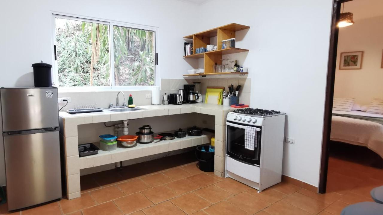 Colibri Apartments - 4 Min Walk To The Beach! Playa Santa Teresa  Bagian luar foto