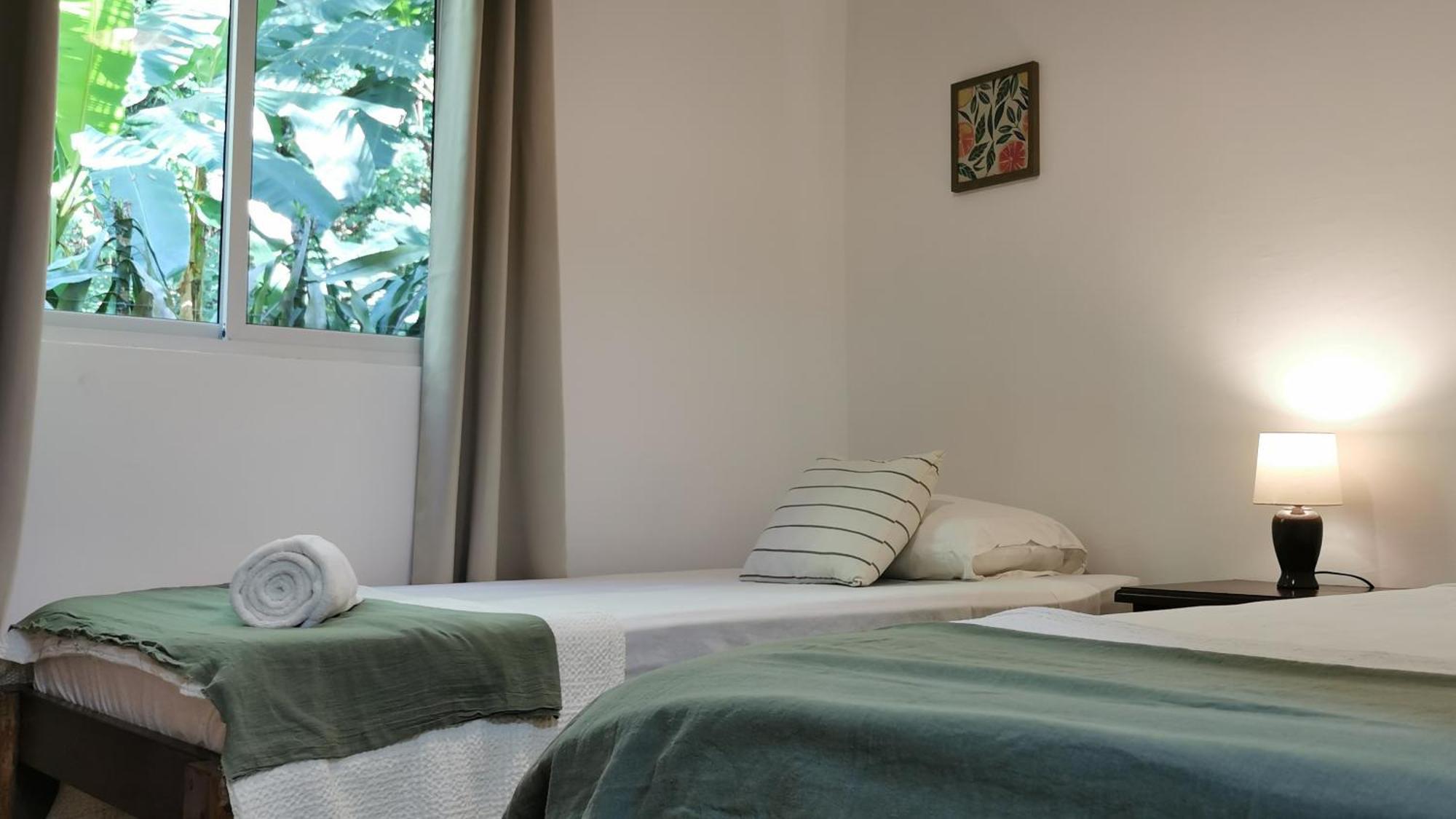 Colibri Apartments - 4 Min Walk To The Beach! Playa Santa Teresa  Ruang foto
