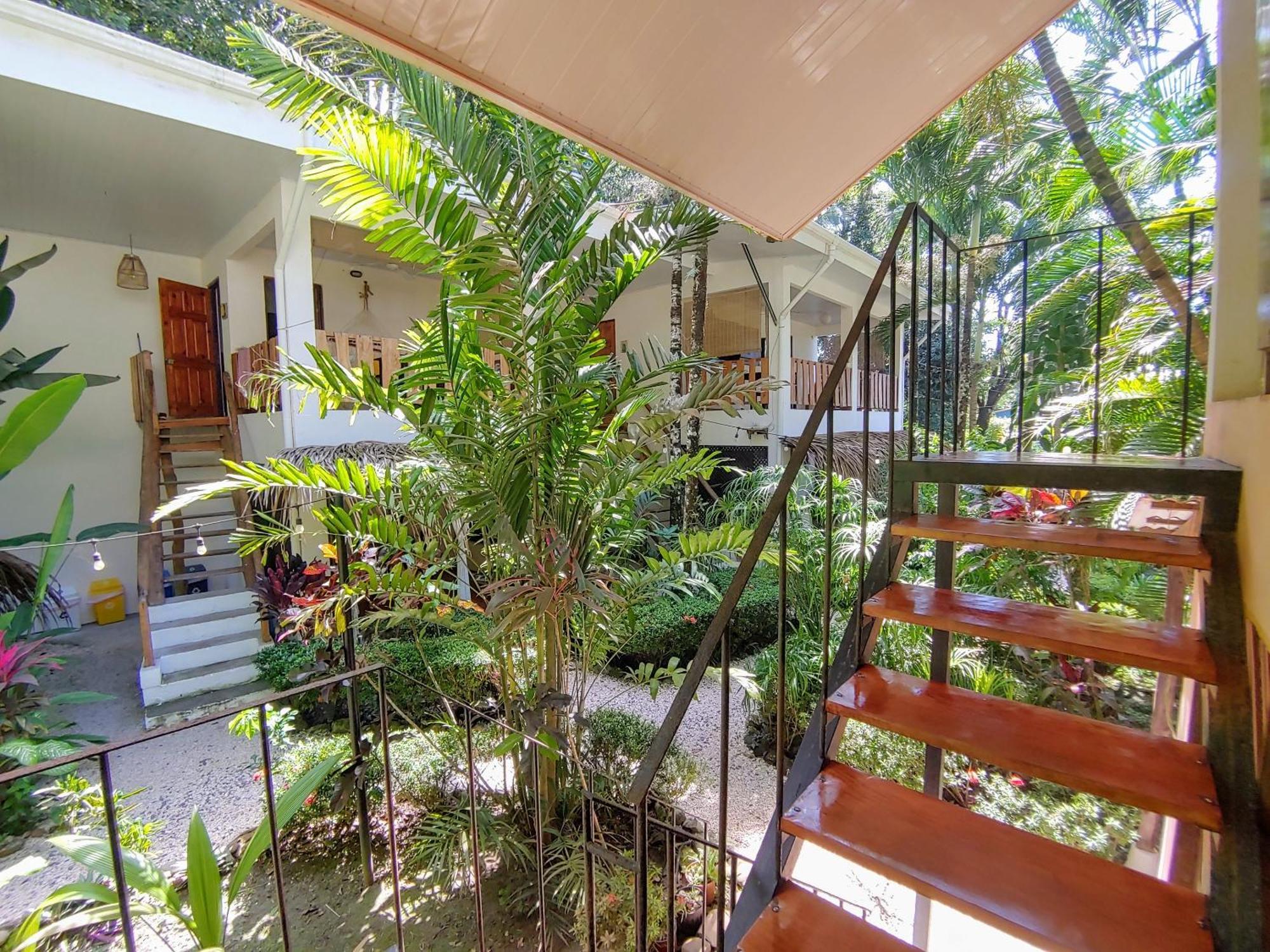 Colibri Apartments - 4 Min Walk To The Beach! Playa Santa Teresa  Bagian luar foto